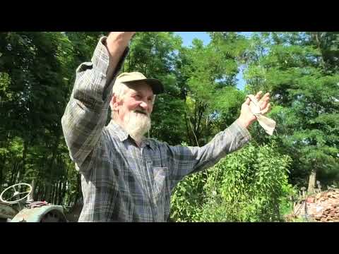 Bugaszegi szösszenetek - A Janibácsi bekevert