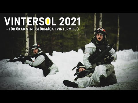 Vintersol 2021