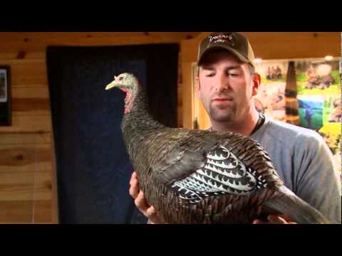 Avian X LCD Insrtuction and Information
