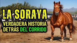 LA SORAYA: Comprada por unos centavos, días después trajo 50 victorias inexplicables.