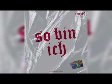 Truzt9 - So bin ich (Single)