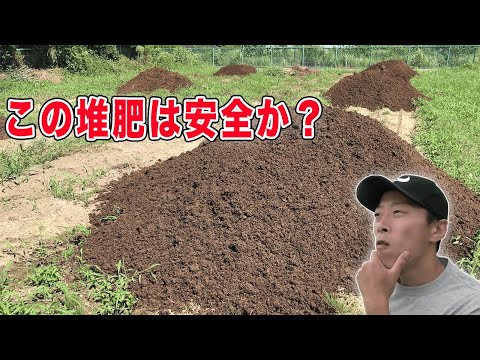 堆肥に赤い虫がいるのは正常ですか?なぜ彼らはタンクから離れるのでしょうか？  庭園