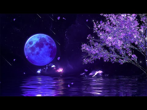 (No Ads) No More Insomnia • Heal Stress, Anxiety & Depression • Detox Negative Emotion