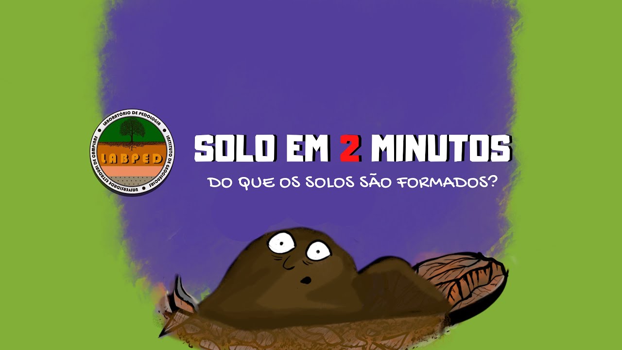 Composição dos solos | Do que os solos são formados?