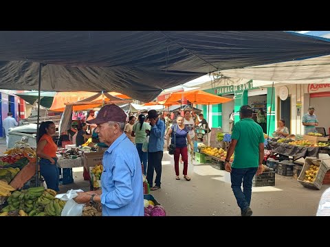 Feira livre de Palmeirina PE 03/11/2025