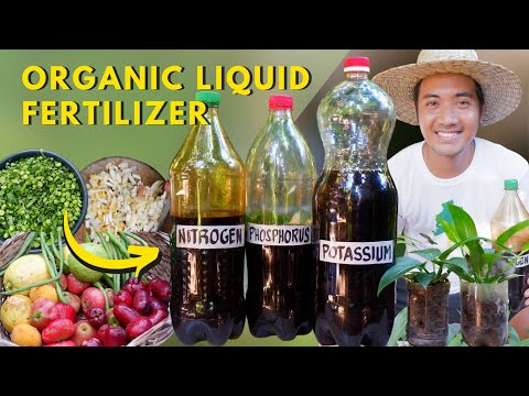 , title : 'Creating Your Own Complete Organic Fertilizer | Nitrogen-Phosphorus-Potassium | Super Easy!'