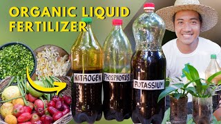 Creating Your Own Complete Organic Fertilizer | Nitrogen-Phosphorus-Potassium | Super Easy!