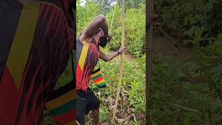 Download lagu Memancing dengan panah di rawa-rawa kecil mp3 Download lagu Memancing dengan panah di rawa-rawa kecil mp3