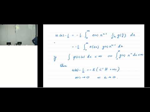 Ovidiu Savin at NSFE 2022 - Nonlocal minimal surfaces (1/3)