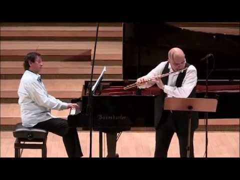 @ionbogdanstefanescu  Godard - Allegretto