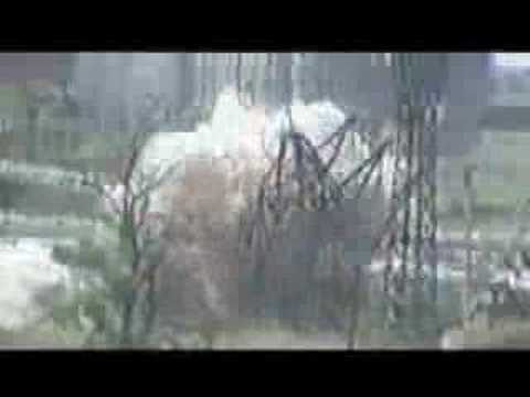 chechen freedom fighter 3