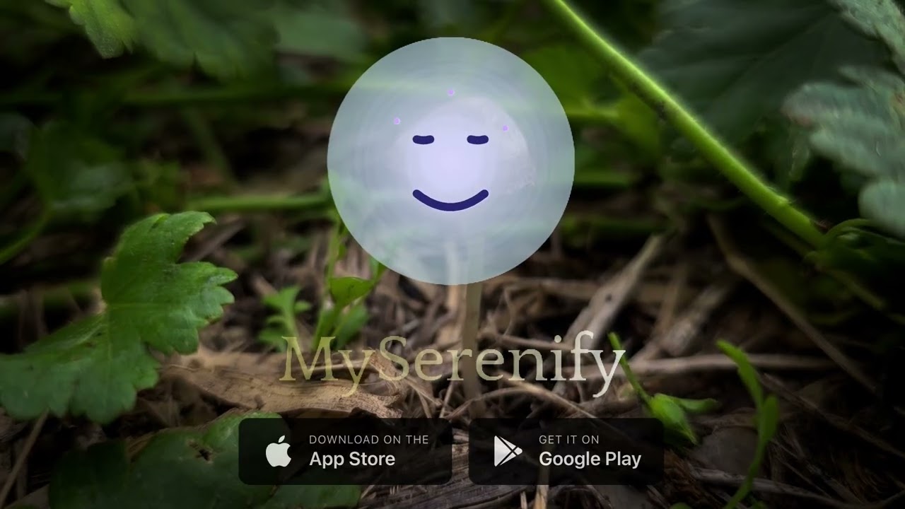 AI Meditation for Beginners: Embrace Mindfulness with Technology