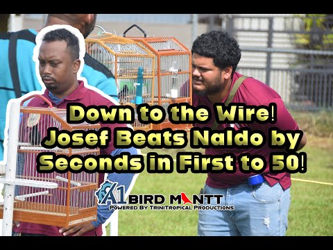 Down to the Wire! Josef Beats Naldo by Seconds in First to 50! 🌍Bullfinch, Curio, Towa Towa