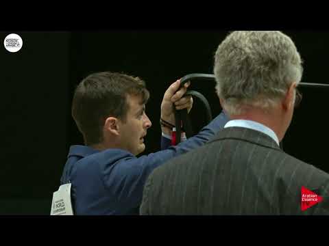 N.52 ZAHIDA EA - Paris 2018 - Senior Mares (Class CM 3A)