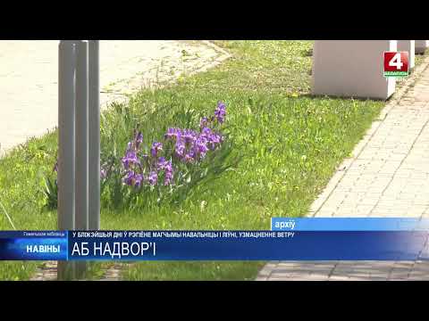 Погода готовит сюрпризы для жителей Гомельщины: от ливней до +36°C