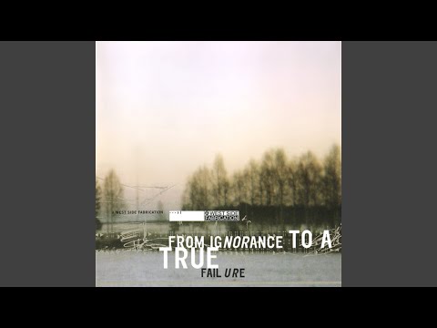 I'm Still In The Grass - The Bear Quartet