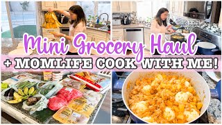 MINI GROCERY HAUL 2022 + MOMLIFE COOK WITH ME! // GROCERY HAUL
