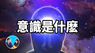 [討論] 老高探討的“意識”系列