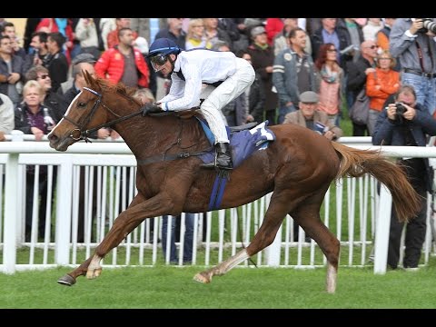 Baden-Baden: Preis der BBAG Herbstauktion (D) - Siegerin: Rotkaeppchen Rubin