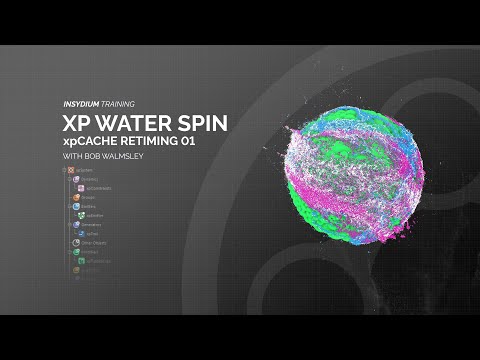 INSYDIUM Training - xpCache Retiming 01