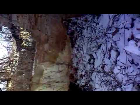 centrul comunei cornesti