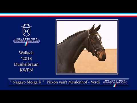 3. Holsteiner Winter-Chance 2021 | Nr. 16 Nagayo Molga K