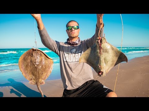 beach fishing can be dangerous - fishing between dangerous animals