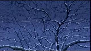 Frank Sinatra - Have Yourself a Merry Little Christmas (slowed + reverb)