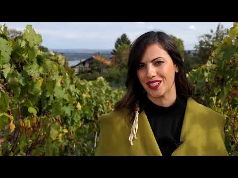 Ukusi i mirisi - Vinarija Plavinci - 14.10.2017.
