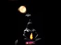 Sivan WhatsApp Status Tamil Lord Shiva WhatsApp Status Tamil Tamil WhatsApp Status God Tamil