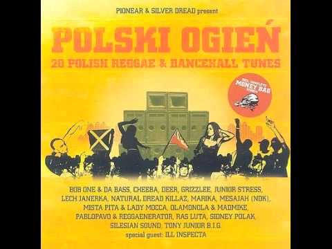 Lech Janerka, Sidney Polak & Jr.Stress - Konstytucje