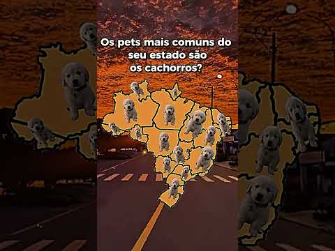 NO SEU ESTADO OS CACHORROS SÃO OS ANIMAIS DE ESTIMAÇÃO MAIS COMUNS? 🐕🐶