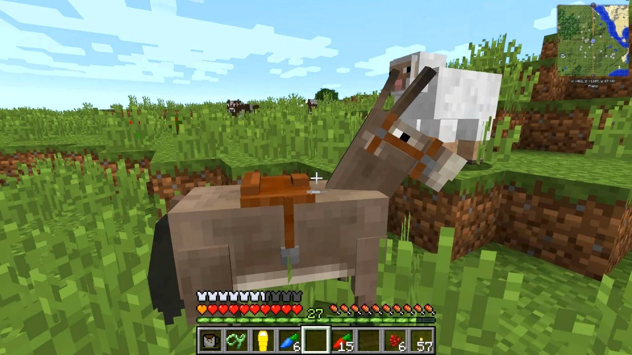 Minecraft - HermitPack #5: Supersonic Donkey