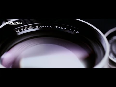 OLYMPUS OM-D E-M10 Mark II - Huge Lens Variety