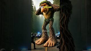 Download lagu FAKTA SERAM TENTANG ANOMALI VIRAL part 3 #gudangit #shorts mp3 Download lagu FAKTA SERAM TENTANG ANOMALI VIRAL part 3 #gudangit #shorts mp3