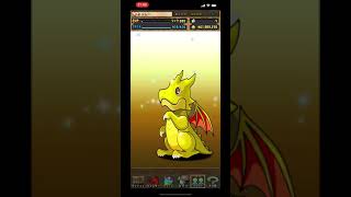 パズドラ ランク800メモリアルガチャを引くだけの動画