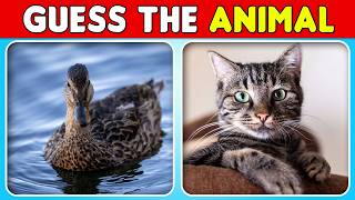 How Many Animals Can You Guess? Easy to Impossible! 🐒🐘