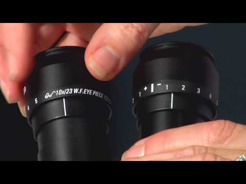 Dissecting microscope lab demo