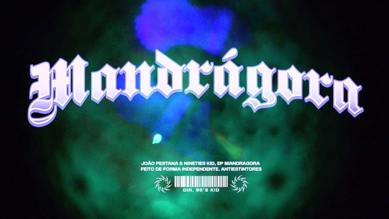 Mandrágora