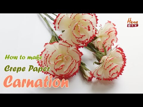 How to make a crepe paper Carnation - HanaDIY