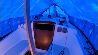 Opening Skylark for 2025