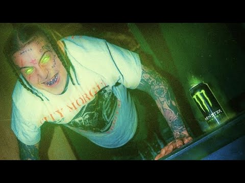 SosMula - WHAT'S UP DOC