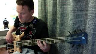 The Saddest Thing I Know- Birds of Tokyo- Bass Cover