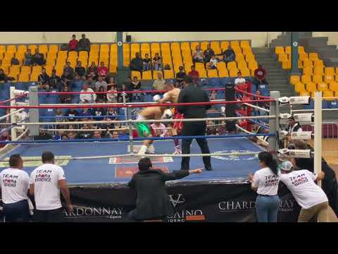 ALVAROEL TORITO PEREZ su segunda pelea profesional como boxeador el próximo Pitbullcruz￼￼#miketyso