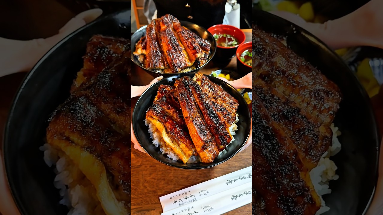 名古屋で1番肉厚で美味すぎる特上うな丼🐟【愛知 イチビキ】