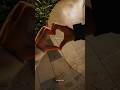 Hathon Ko Tere Apne Hathon Mai Le Leta Hoon Meherbaan Lyrics Shorts Whatsappstatus Song Lyric