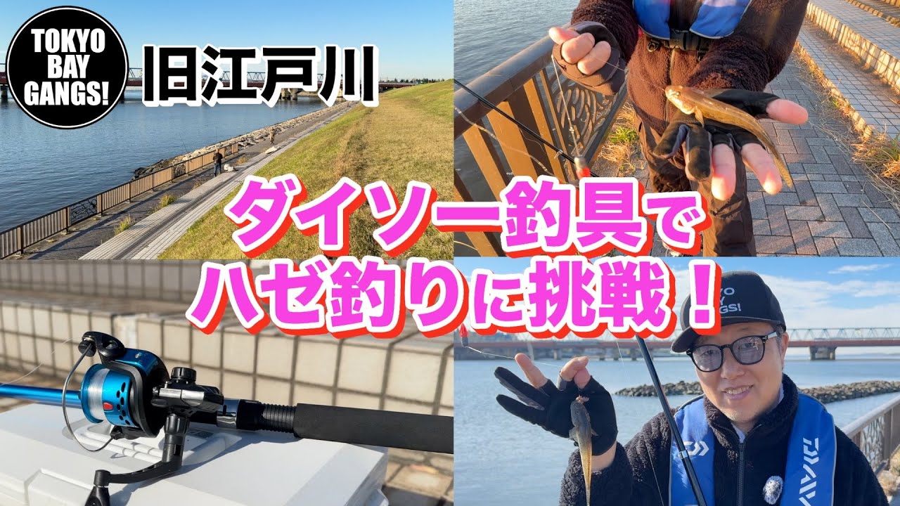 ほんとに釣れるの？？ダイソー釣具でハゼ釣りに挑戦！〜旧江戸川〜
