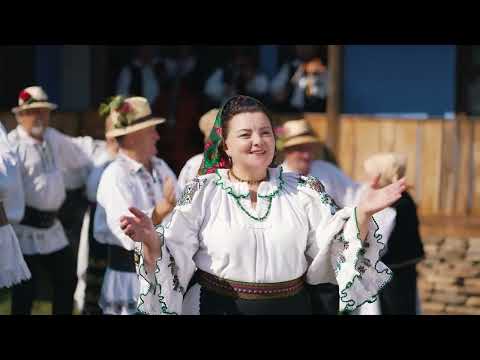 Ana Ilca - Bărbatu cu gura dulce