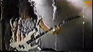 Salty Dog Live 1990 Cat's Got Nine