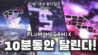 고수들을 위한 10분짜리 동타질주 맵 [ PLUM MEGAMIX ]